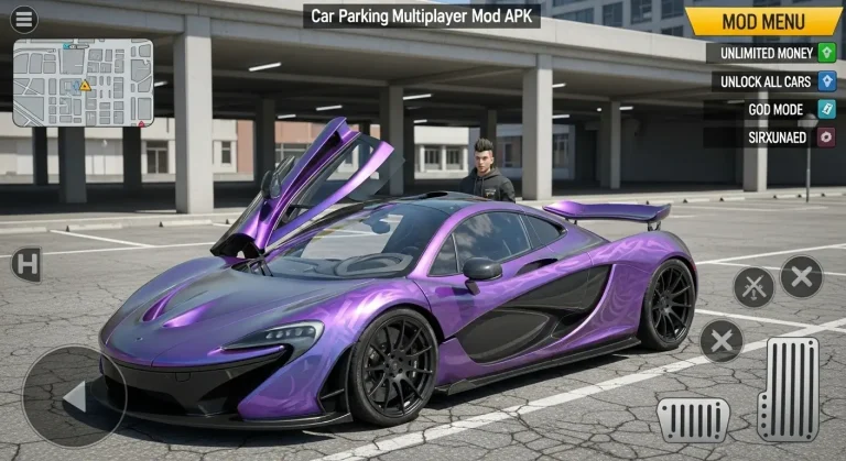 HOME 29 McLaren P1 image